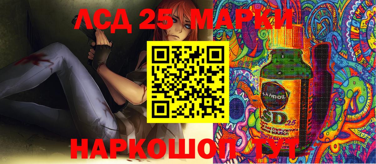 Псилоцибиновые грибы Брянск