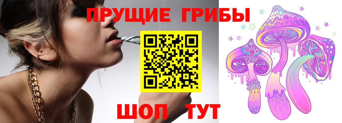 Галлюциногенные грибы Psilocybe Брянск
